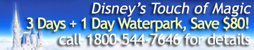 Disney Touch of Magic